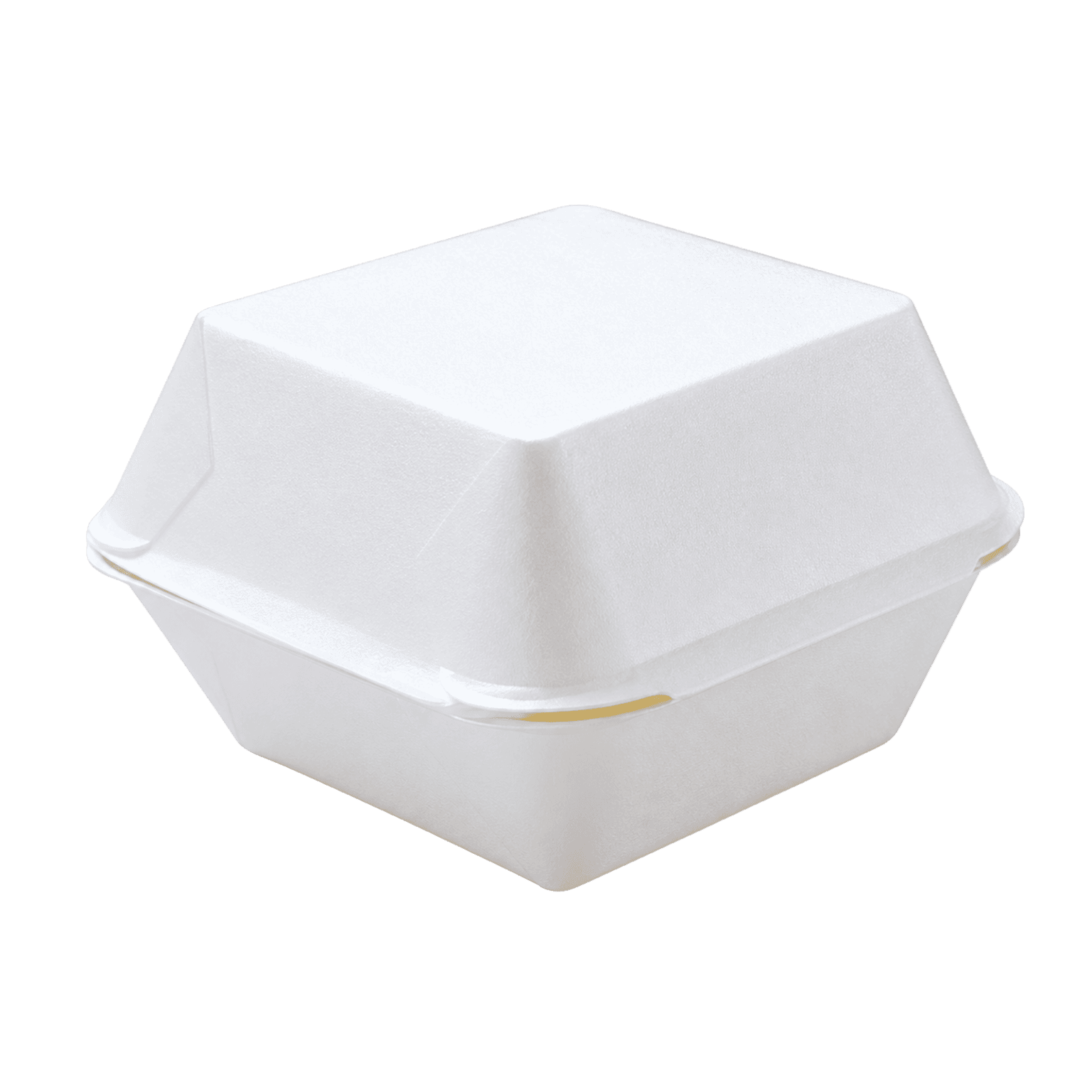 application-burger-box-02