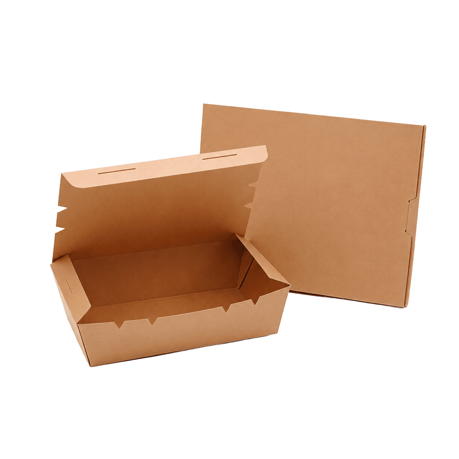 application-burger-box-04